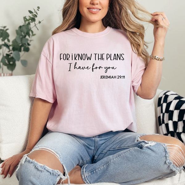 For I know the plan  - comfort colors