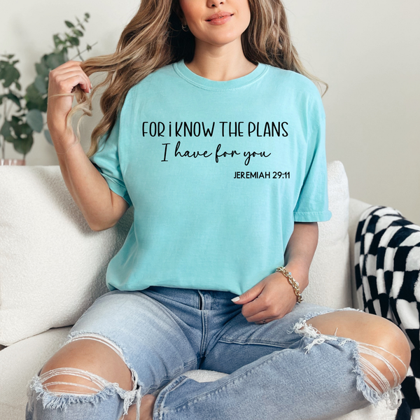 For I know the plan  - comfort colors